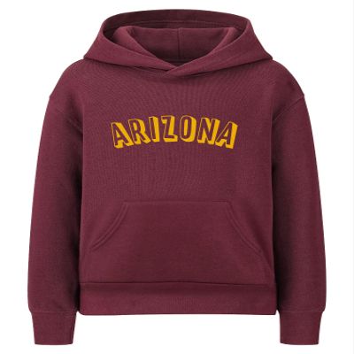 Daxton Youth Unisex Pullover Cities States Hoodie Mid-Weight Fleece Sweater - Arizona Burgundy Gold, S