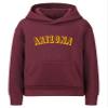 Daxton Youth Unisex Pullover Cities States Hoodie Mid-Weight Fleece Sweater - Arizona Burgundy Gold, S view 1