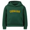 Daxton Youth Unisex Pullover Cities States Hoodie Mid-Weight Fleece Sweater - Colorado Hunter Gold, S view 1