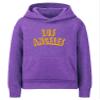 Daxton Youth Unisex Pullover Cities States Hoodie Mid-Weight Fleece Sweater - Los Angeles Heather Purple Gold, M view 1