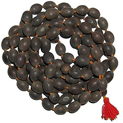 BharatSA Kamal gatta Energized Pure Certified Natural Thamara/Lotus Seed/Kamalgatte Mala 108+1 Beads for Lakshmi Pooja