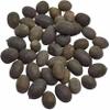 BharatSA Kamal gatta Energized Pure Certified Natural Thamara/Lotus Seed/Kamalgatte Mala 108+1 Beads for Lakshmi Pooja view 2