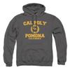 California State Polytechnic University Pomona Official Circle Logo Unisex Adult Pull-Over Hoodie,Charcoal, X-Large view 1