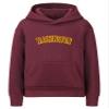 Daxton Youth Unisex Pullover Cities State Hoodie Mid-Weight Fleece Sweater - Washington Burgundy Gold, S view 1