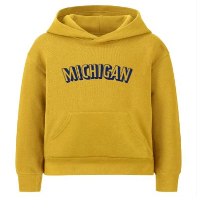 Daxton Youth Unisex Pullover Cities State Hoodie Mid-Weight Fleece Sweater - Michigan Gold Navy, M