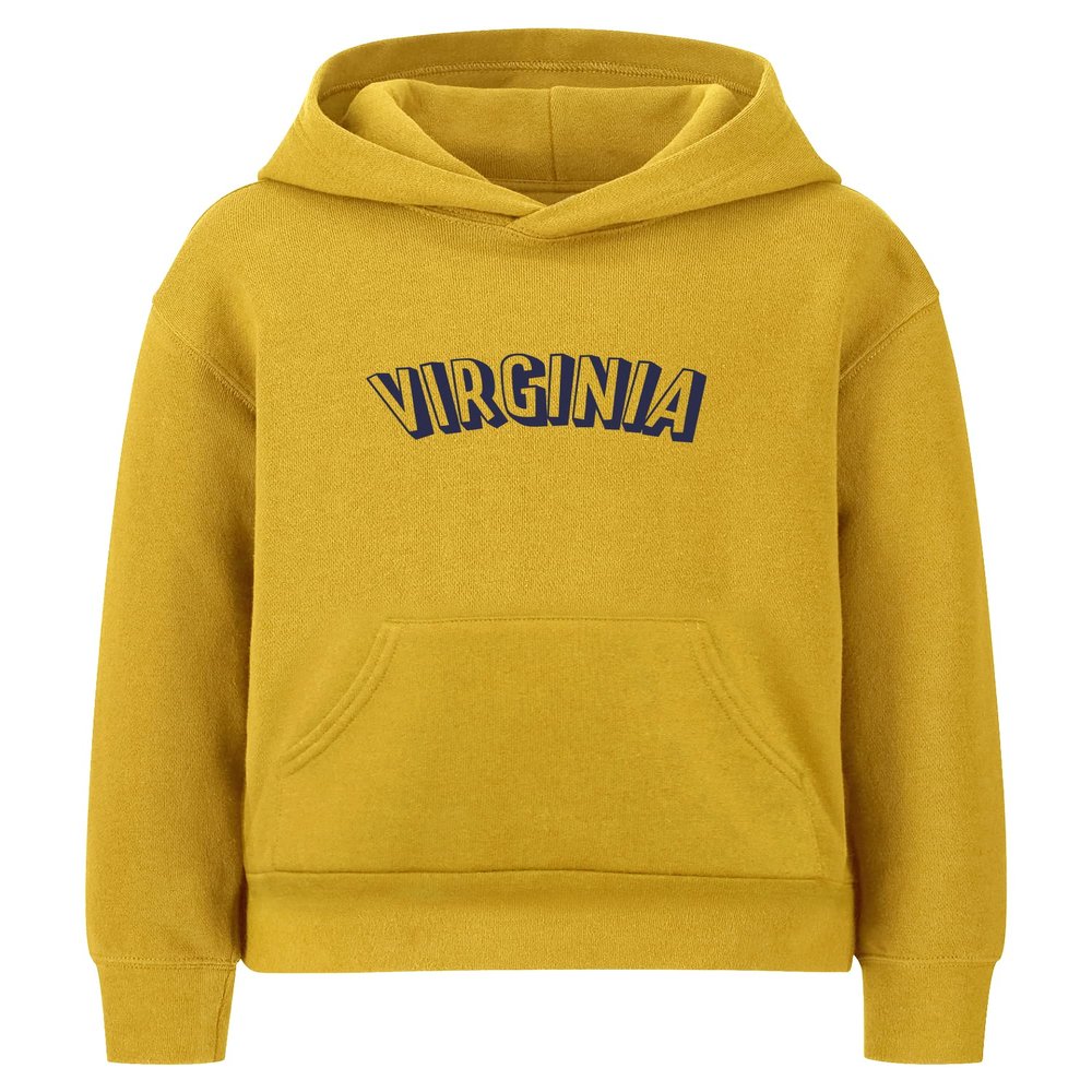Daxton Youth Unisex Pullover Cities State Hoodie Mid-Weight Fleece Sweater - Virginia Gold Navy, XL