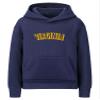 Daxton Youth Unisex Pullover Cities State Hoodie Mid-Weight Fleece Sweater - Virginia Navy Gold, M view 1