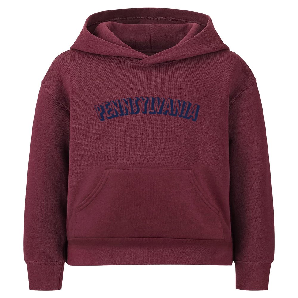 Daxton Youth Unisex Pullover Cities State Hoodie Mid-Weight Fleece Sweater - Pennsylvania Burgundy Navy, XS