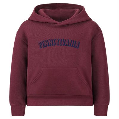 Daxton Youth Unisex Pullover Cities State Hoodie Mid-Weight Fleece Sweater - Pennsylvania Burgundy Navy, S