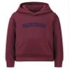 Daxton Youth Unisex Pullover Cities State Hoodie Mid-Weight Fleece Sweater - Pennsylvania Burgundy Navy, S view 1
