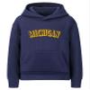 Daxton Youth Unisex Pullover Cities State Hoodie Mid-Weight Fleece Sweater - Michigan Navy Gold, S view 1