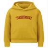 Daxton Youth Unisex Pullover Cities State Hoodie Mid-Weight Fleece Sweater - Washington Gold Burgundy, XL view 1