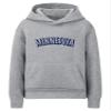 Daxton Youth Unisex Pullover Cities State Hoodie Mid-Weight Fleece Sweater - Minnesota Heather Gray Navy, view 1