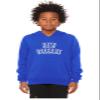 Daxton Youth Unisex Pullover Cities State Hoodie Mid-Weight Fleece Sweater - New Orleans Royal White, S view 2