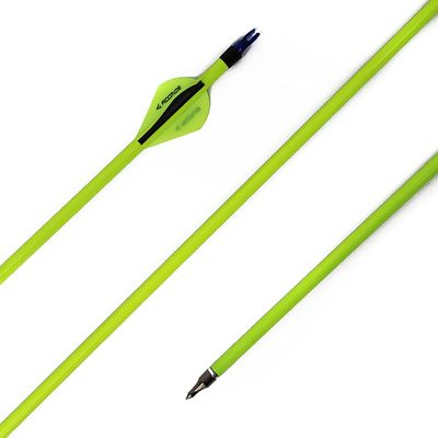500 Spine Arrow 25 Inch Arrow Target Practice Arrow Hunting Arrow Carbon Arrows Compound Bow Recurve Bow Adult Youth Archery Indoor Outdoor Shooting Field Tip 24pc