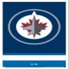 Trends International NHL Winnipeg Jets - Logo 21 Wall Poster, 22.375" x 34", White Framed Version view 1