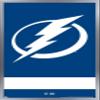 Trends International NHL Tampa Bay Lightning - Logo 21 Wall Poster, 22.375" x 34", Silver Framed Version view 1
