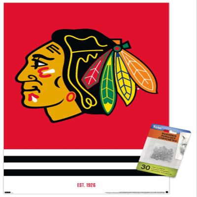 NHL Chicago Blackhawks - Logo 21 Wall Poster with Push Pins