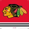 NHL Chicago Blackhawks - Logo 21 Wall Poster with Push Pins view 4