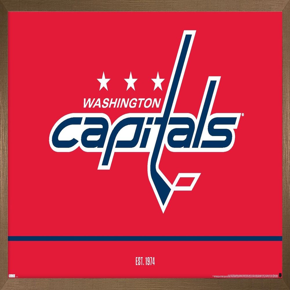 Trends International NHL Washington Capitals - Logo 21 Wall Poster, 22.375" x 34", Bronze Framed Version