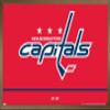 Trends International NHL Washington Capitals - Logo 21 Wall Poster, 22.375" x 34", Bronze Framed Version view 1