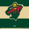 Trends International NHL Minnesota Wild - Logo 21 Wall Poster, 22.375" x 34", Premium Unframed Version view 1