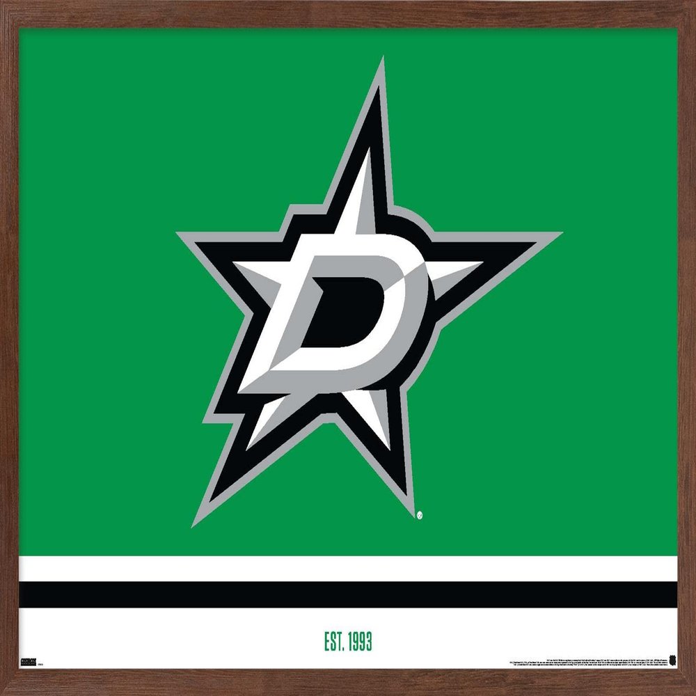 Trends International NHL Dallas Stars - Logo 21 Wall Poster, 22.375" x 34", Mahogany Framed Version