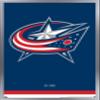 Trends International NHL Columbus Blue Jackets - Logo 21 Wall Poster, 22.375" x 34", Silver Framed Version view 1