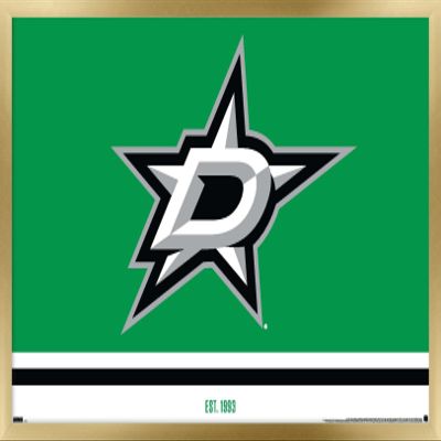 Trends International NHL Dallas Stars - Logo 21 Wall Poster, 22.375" x 34", Gold Framed Version