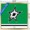 Trends International NHL Dallas Stars - Logo 21 Wall Poster, 22.375" x 34", Gold Framed Version view 3