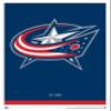 Trends International NHL Columbus Blue Jackets - Logo 21 Wall Poster, 22.375" x 34", White Framed Version view 1