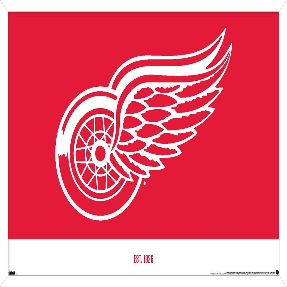 Trends International NHL Detroit Red Wings - Logo 21 Wall Poster, 22.375" x 34", White Framed Version