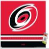 Trends International NHL Carolina Hurricanes - Logo 21 Wall Poster with Pushpins view 1