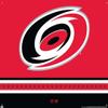 Trends International NHL Carolina Hurricanes - Logo 21 Wall Poster with Pushpins view 4