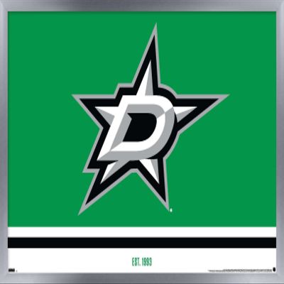 Trends International NHL Dallas Stars - Logo 21 Wall Poster, 22.375" x 34", Silver Framed Version