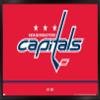 Trends International NHL Washington Capitals - Logo 21 Wall Poster, 22.375" x 34", Black Framed Version view 1