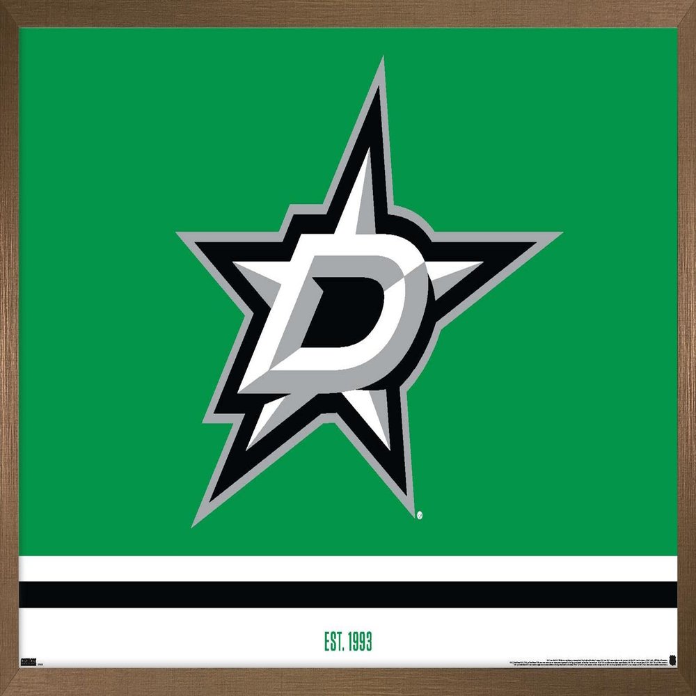 Trends International NHL Dallas Stars - Logo 21 Wall Poster, 22.375" x 34", Bronze Framed Version