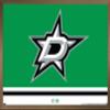 Trends International NHL Dallas Stars - Logo 21 Wall Poster, 22.375" x 34", Bronze Framed Version view 1
