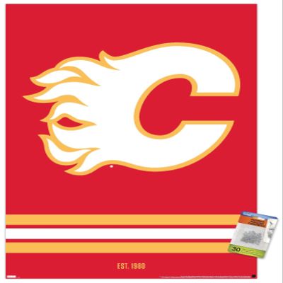 Trends International NHL Calgary Flames - Logo 21 Wall Poster with Push Pins