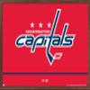Trends International NHL Washington Capitals - Logo 21 Wall Poster, 22.375" x 34", Mahogany Framed Version view 1
