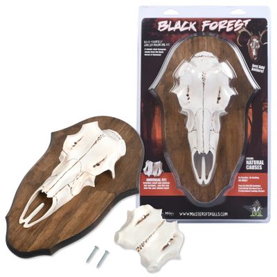 Mountain Mikes Black Forest Universal Antler Mounting Kit - Plaque and 3D Skull Mount Kit - Compatible with Harvested and Shed Antlers - Rustic Home Decor - Great Outdoor Inspired (Natural Causes)