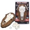 Mountain Mikes Black Forest Universal Antler Mounting Kit - Plaque and 3D Skull Mount Kit - Compatible with Harvested and Shed Antlers - Rustic Home Decor - Great Outdoor Inspired (Natural Causes) view 1