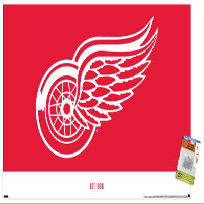 Trends International NHL Detroit Red Wings - Logo 21 Wall Poster with Pushpins