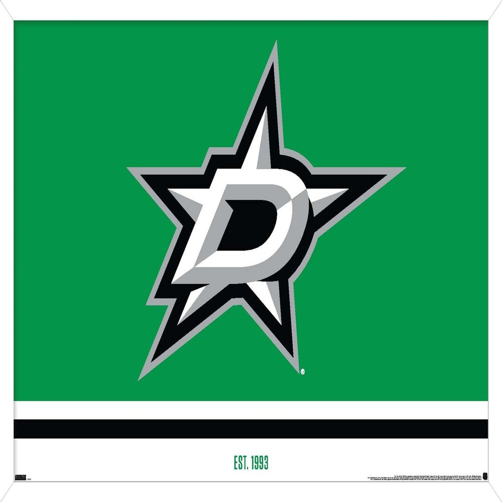 Trends International NHL Dallas Stars - Logo 21 Wall Poster, 22.375" x 34", White Framed Version