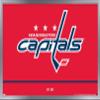 Trends International NHL Washington Capitals - Logo 21 Wall Poster, 22.375" x 34", Silver Framed Version view 1