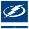 Trends International NHL Tampa Bay Lightning - Logo 21 Wall Poster, 22.375" x 34", White Framed Version view 1