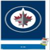Trends International NHL Winnipeg Jets - Logo 21 Wall Poster, 22.37" x 34.00", Premium Poster & Push Pin Bundle view 1