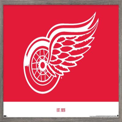 Trends International NHL Detroit Red Wings - Logo 21 Wall Poster, 22.375" x 34", Barnwood Framed Version