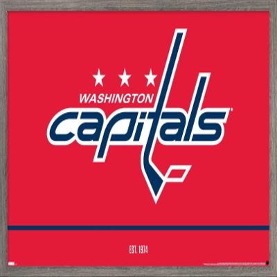 Trends International NHL Washington Capitals - Logo 21 Wall Poster, 22.375" x 34", Barnwood Framed Version