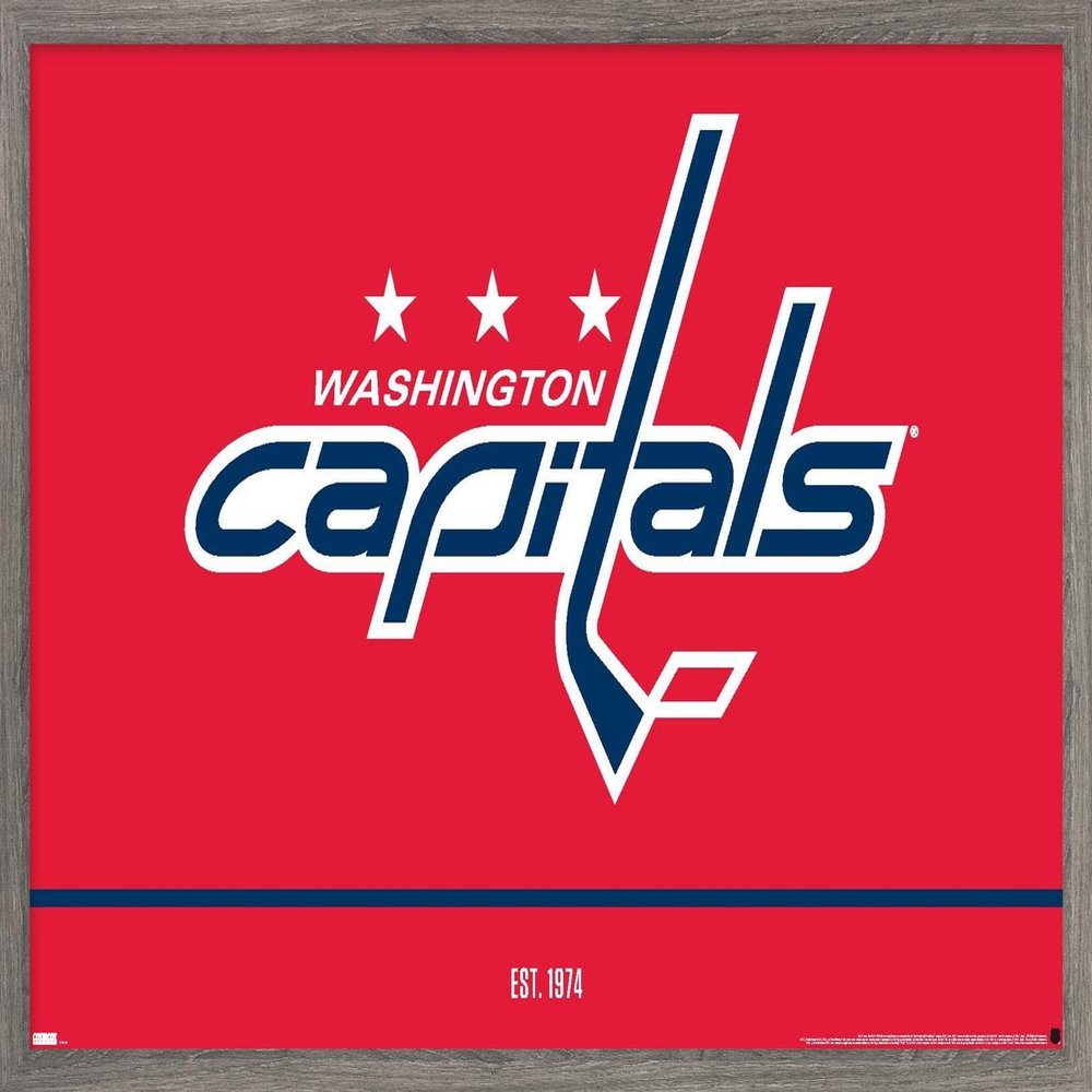 Trends International NHL Washington Capitals - Logo 21 Wall Poster, 22.375" x 34", Barnwood Framed Version